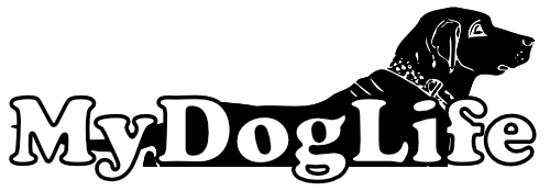 MyDogLife Demonstrator